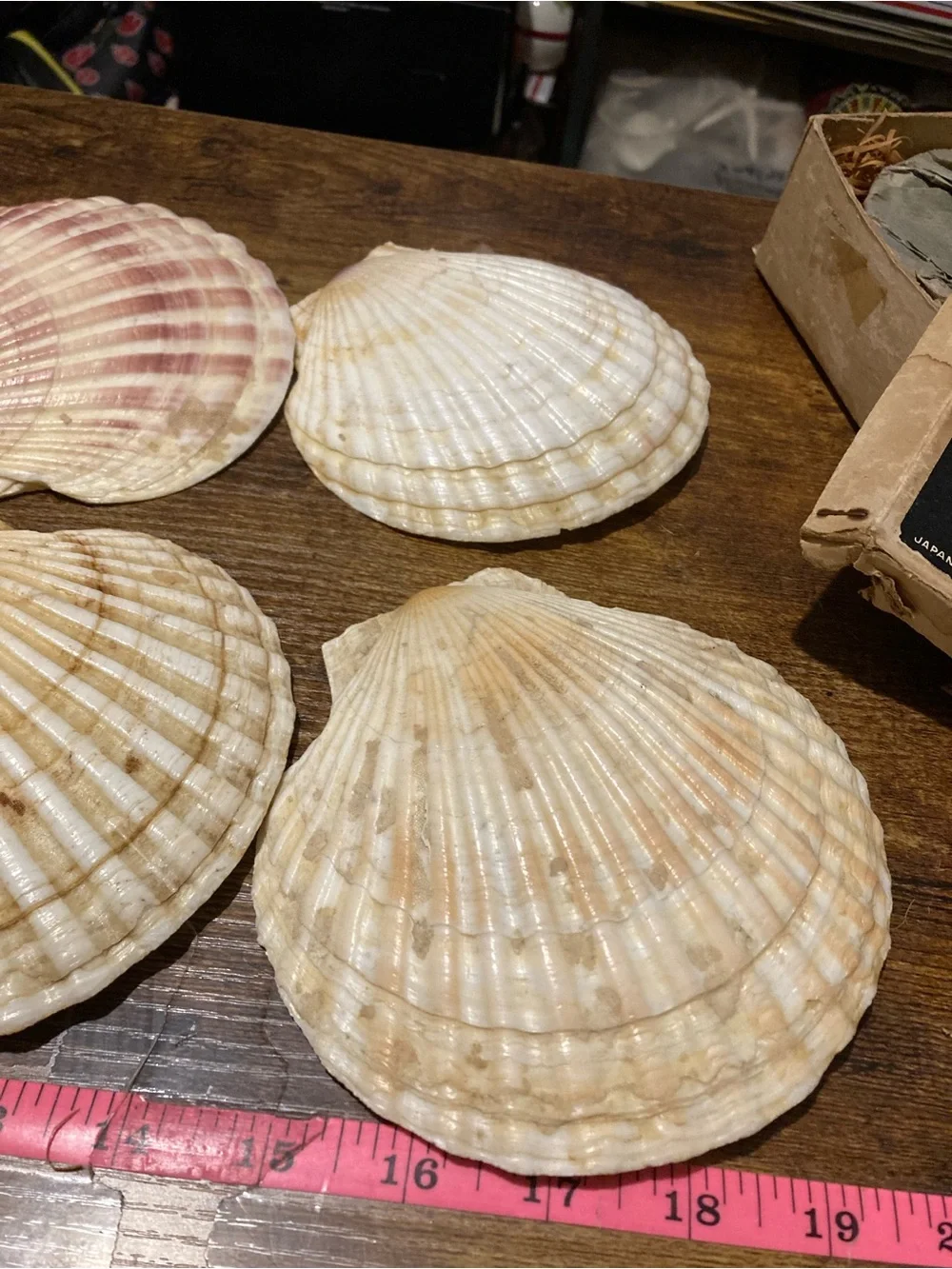 Vintage Epicure baking shells